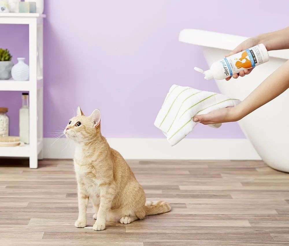 國(guó)內(nèi)外巨頭相繼入局，寵物洗護(hù)品成為新的掘金賽道？