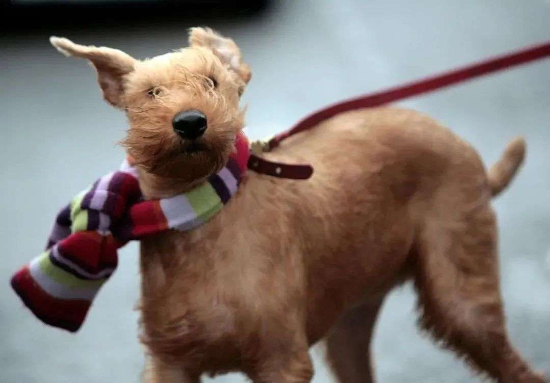 看一眼你的頭發(fā)，就知道洗發(fā)水買錯(cuò)了